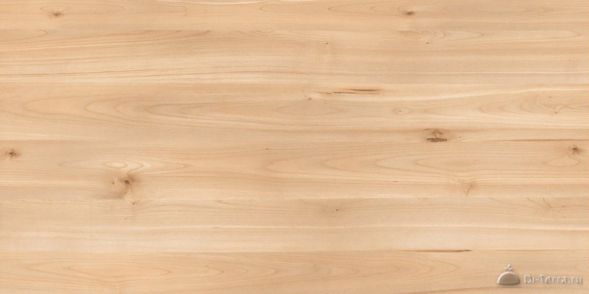 Lm 2555W Knotty Wood Beige 1200×600